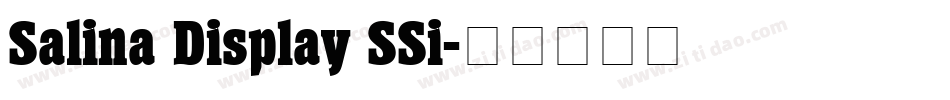 Salina Display SSi字体转换